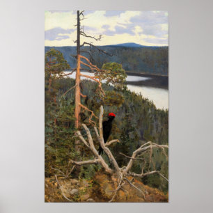 Gallen-Kallela - Great Black Woodpecker 1894 Poster