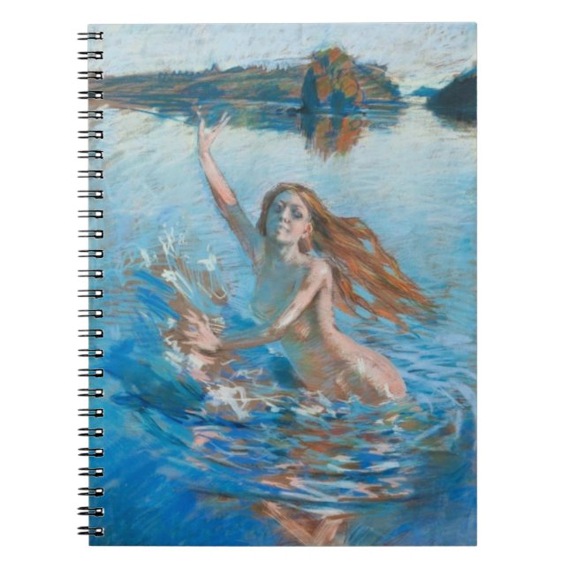 Gallen-Kallela’s Aino notebook (Front)