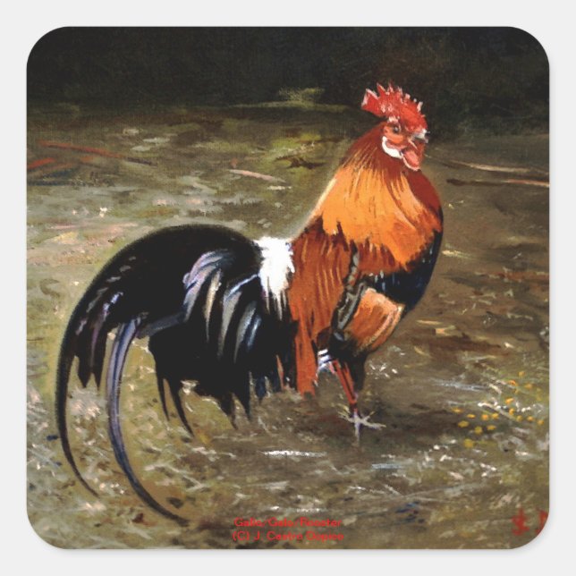 Gallo/Galo/Rooster Square Sticker (Front)