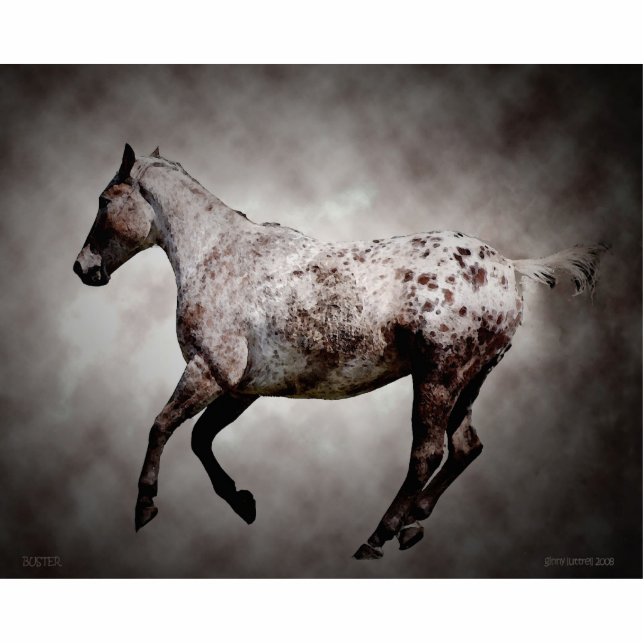 Galloping Appy Standing Photo Sculpture (Front)