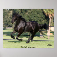 Galloping Friesian Beauty