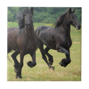 Galloping Friesian Horses Tile