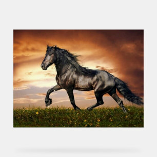 galloping horse acrylic sign