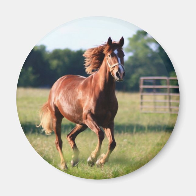 Galloping Horse Magnet (Front)