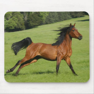 Galloping Horse Mousepad
