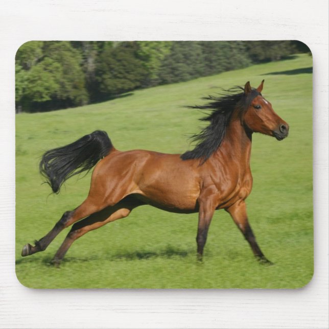 Galloping Horse Mousepad (Front)
