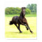 Galloping Horse Poster