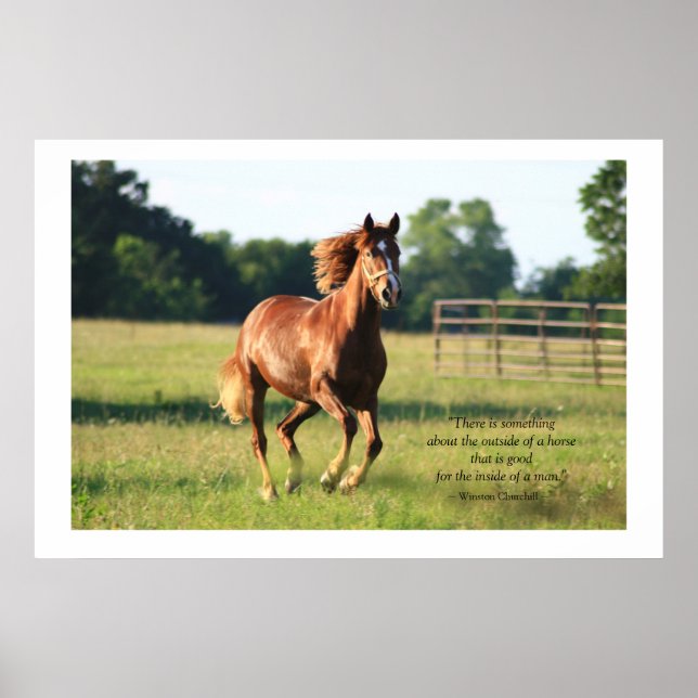 Galloping Horse Poster Print (Front)