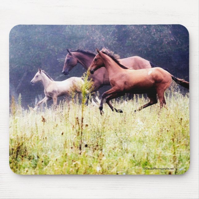 Galloping Horses Photography Mouse Mat (Front)