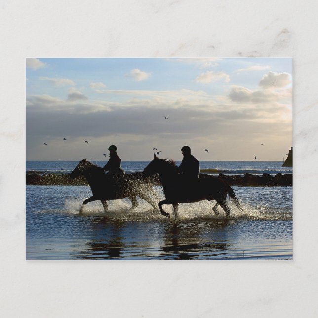 Galloping Horses Postcard (Front)
