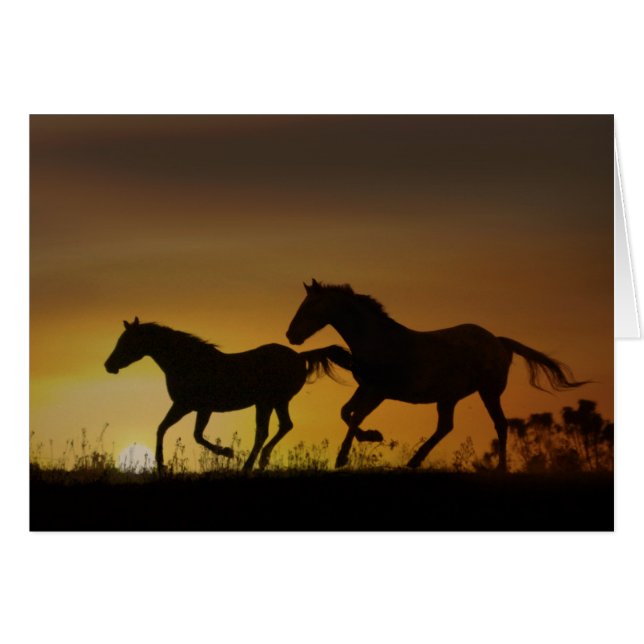 Galloping Horses Sunset Note Card (Front Horizontal)
