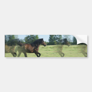Galloping Mustangs Bumper Sticker