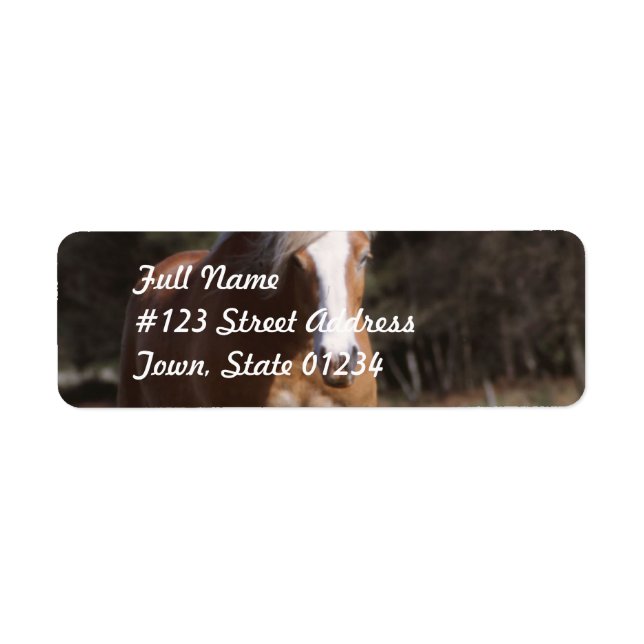 Galloping Palomino  Mailing Labels (Front)