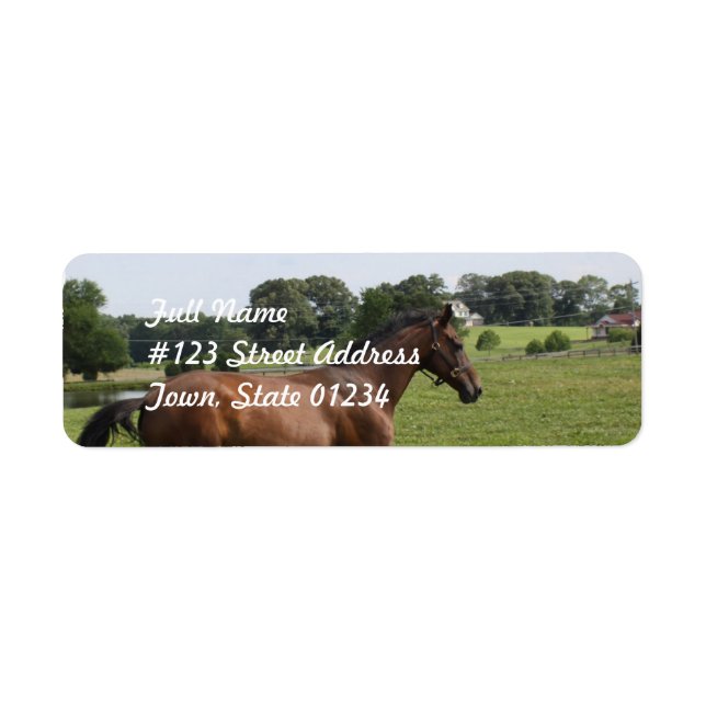 Galloping Thoroughbred  Mailing Labels (Front)