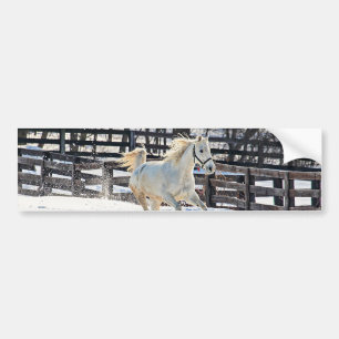 Galloping White Horse Bumper Sticker