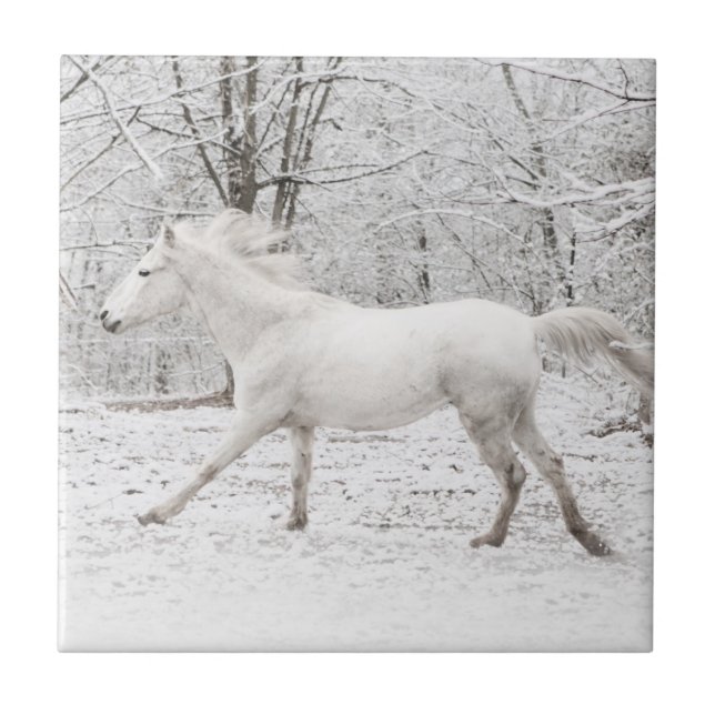 Galloping White Horse in the Snow Tile (Front)
