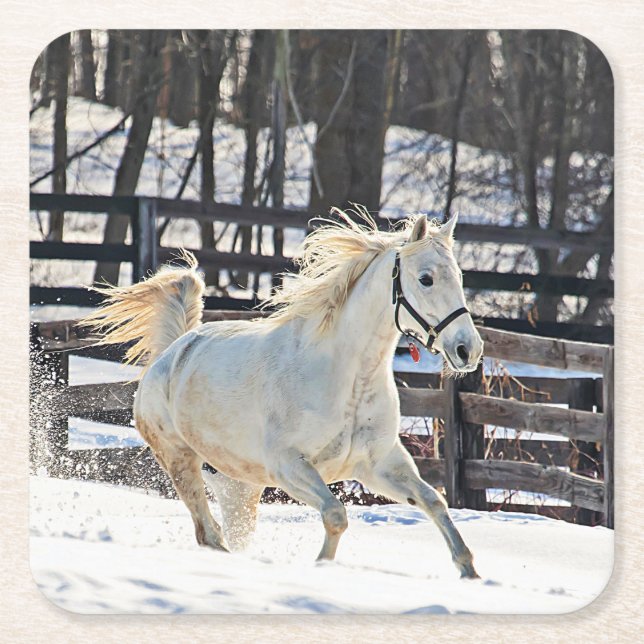 Galloping White Horse Square Paper Coaster (Front)
