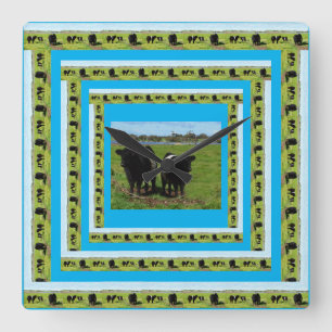 Galloway Cows In Galloway Cow Frames, Square Wall Clock