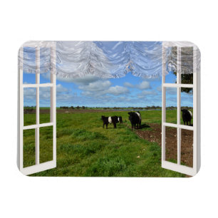 Galloway Cows Through a Window, Flexible Magnet