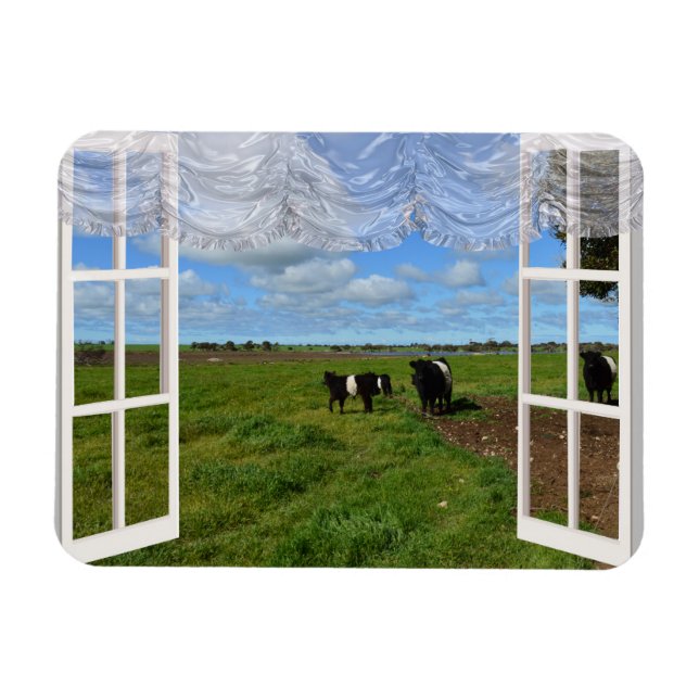 Galloway Cows Through a Window, Flexible Magnet (Horizontal)