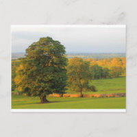 GALLOWS HILL