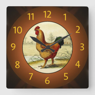 Gallus Domesticus (Rooster) Kitchen - Square Wall Clock