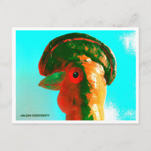 Galo da Serra ( Cock-of-the-Rock ) Postcard