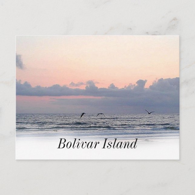 Galveston beach Bolivar Island Postcard (Front)