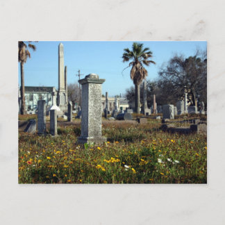 Galveston Graveyard Postcard