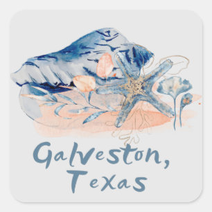 Galveston Texas Seashells Square Sticker