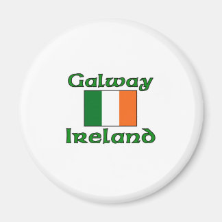Galway Flag Magnet