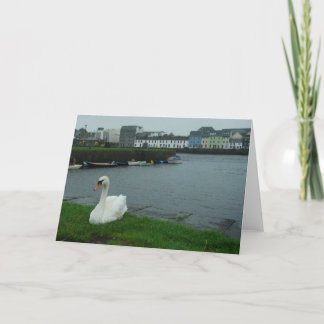 Galway Swan Note Card