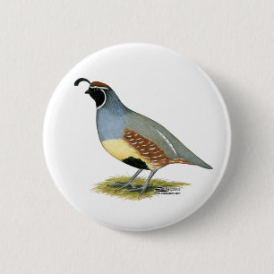 Gambel's Desert Quail 6 Cm Round Badge