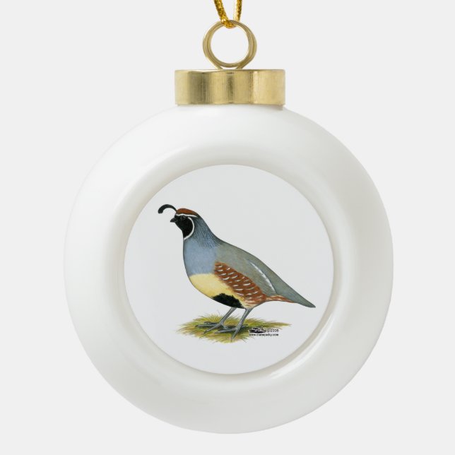 Gambel's Desert Quail Ceramic Ball Christmas Ornament (Front)