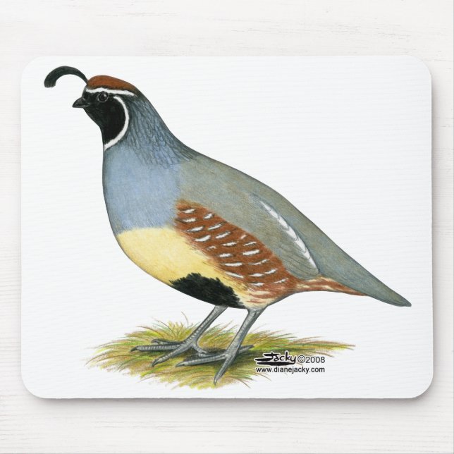Gambel's Desert Quail Mouse Mat (Front)