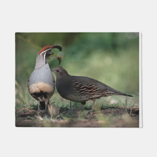 Gambel's Quail Door Mat
