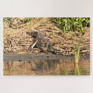 Gambia Crocodile Puzzle