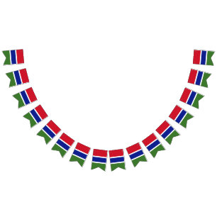 Gambia flag bunting banner