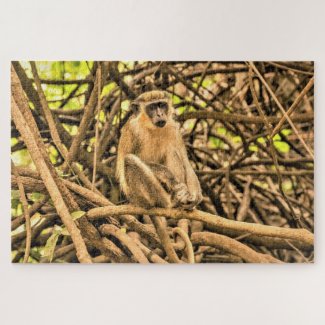 Gambia Monkey Puzzle