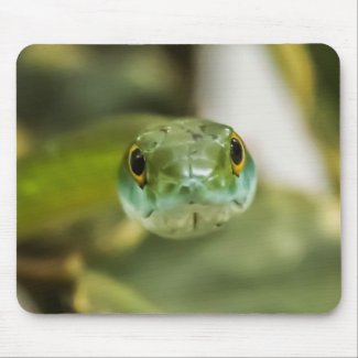 Gambia Snake Mouse Pad