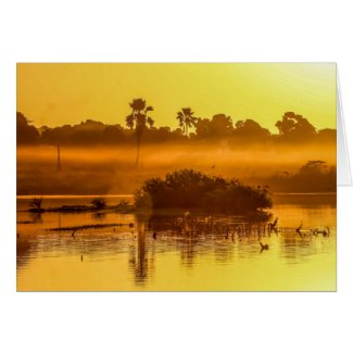 Gambia Sunrise Greeting Card