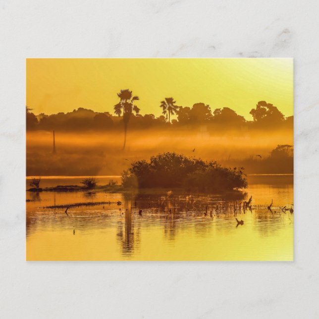 Gambia Sunrise Postcard (Front)