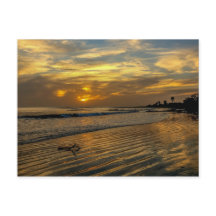 Gambia Sunset Postcard