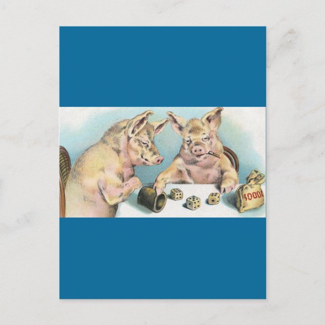 Gambling Pigs Postcard (Front)