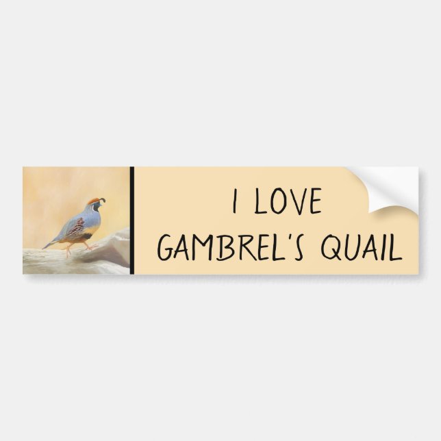 Gambrel's Quail Painting Original Bird Art Bumper Sticker (Front)