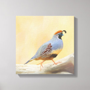 Gambrel's Quail Painting Original Bird Art Canvas Print