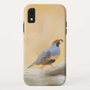 Gambrel's Quail Painting Original Bird Art iPhone XR Case