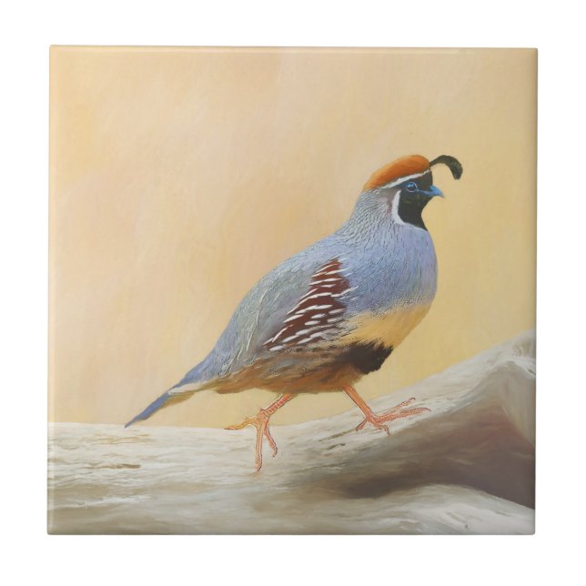 Gambrel's Quail Painting Original Bird Art Tile (Front)