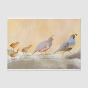 Gambrel's Quail Painting Original Bird Art Tissue Paper