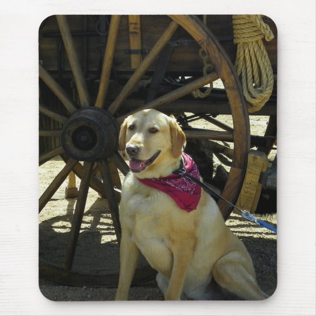 Game and Fish 2010 Expo Mouse Mat (Front)